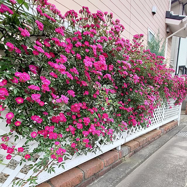 fleur-mamanさんの実例写真
