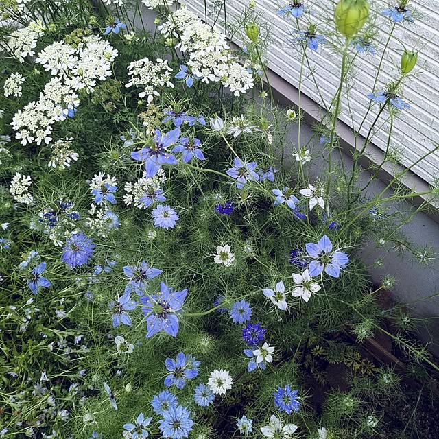 mofukoさんの部屋