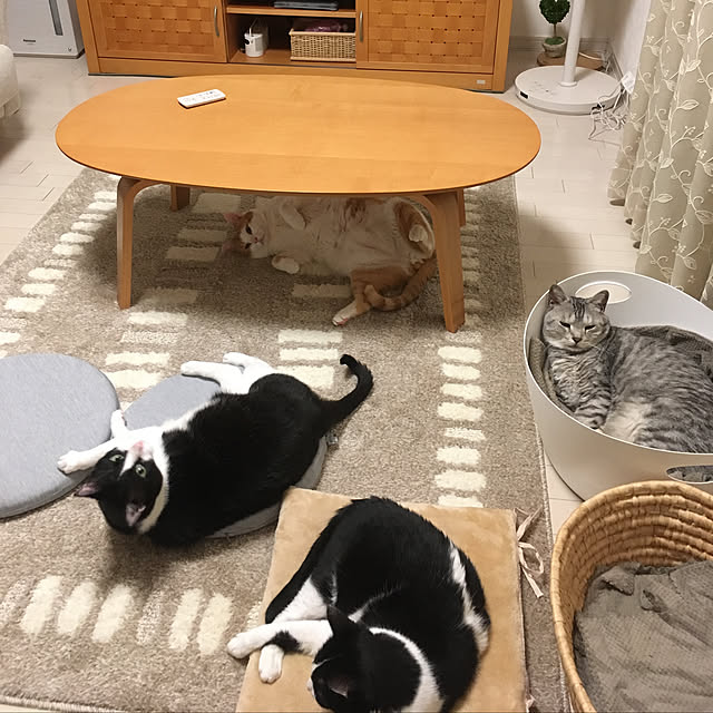 bikkeさんの実例写真