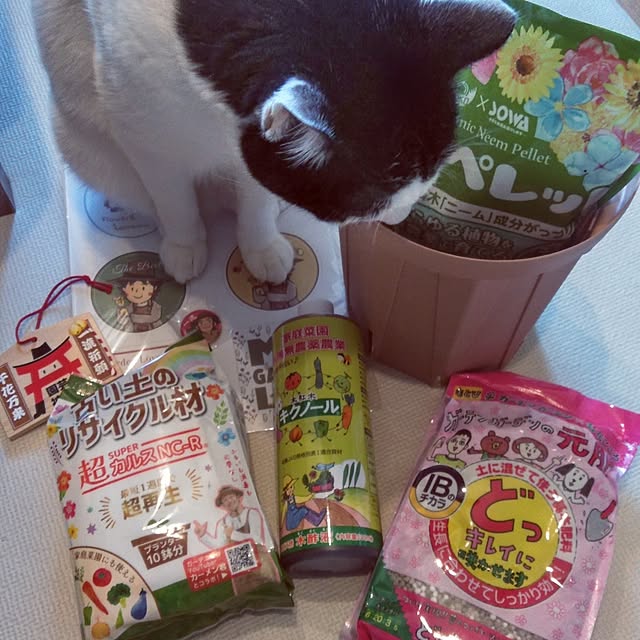 futukoさんの実例写真
