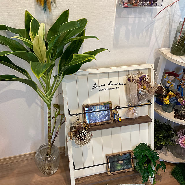 kazuさんの部屋
