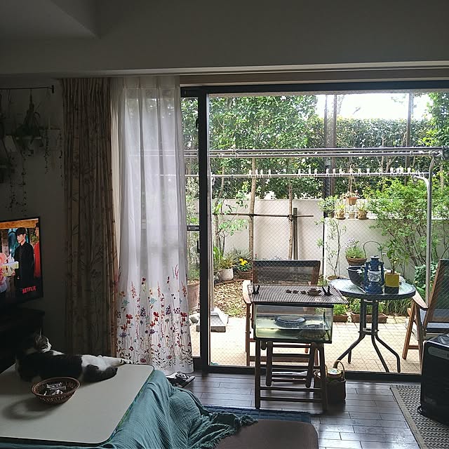 okyosan101さんの実例写真
