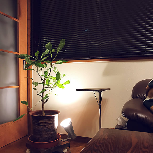 calmsweetsweetさんの実例写真