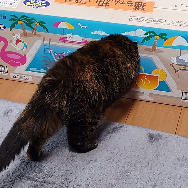 noguriさんの実例写真