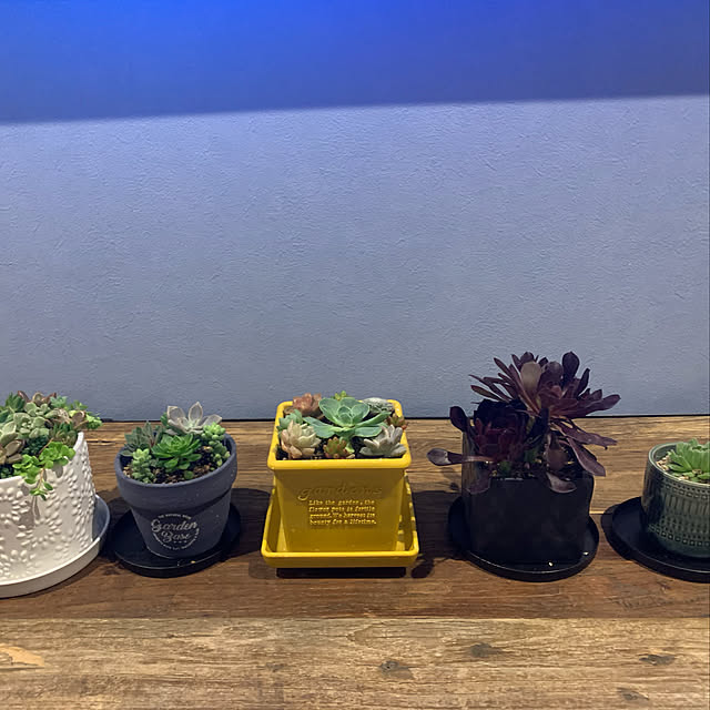 pulusboxさんの実例写真