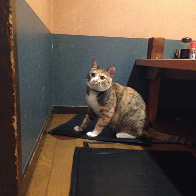 Yukiさんの実例写真