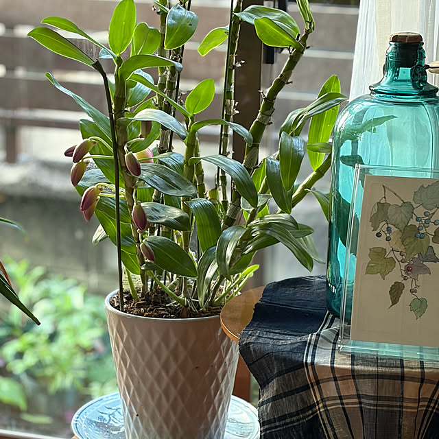 buchiさんの部屋