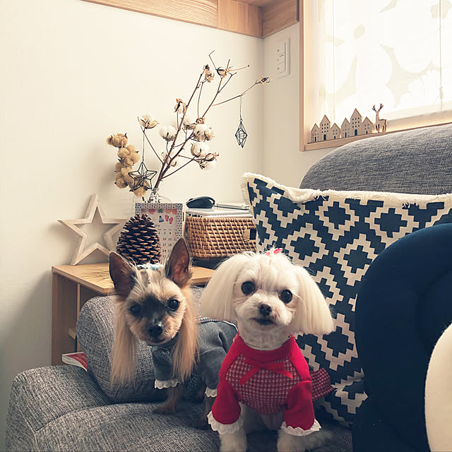 loliontoaliceveさんの実例写真