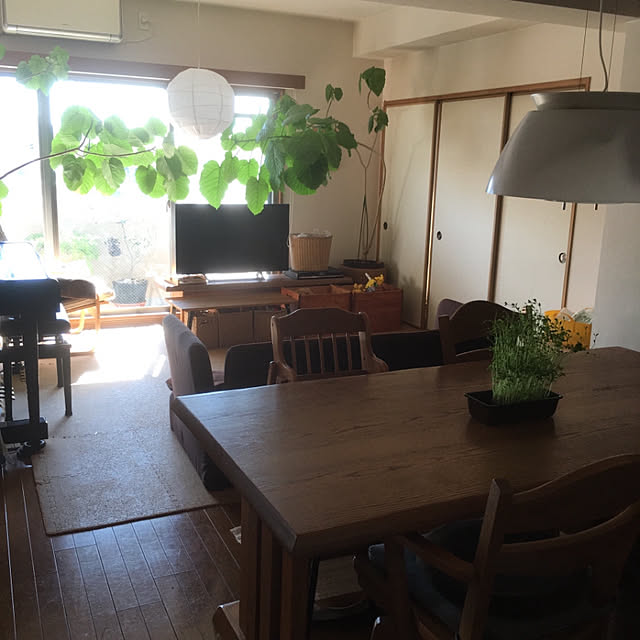 cottoncottonさんの部屋