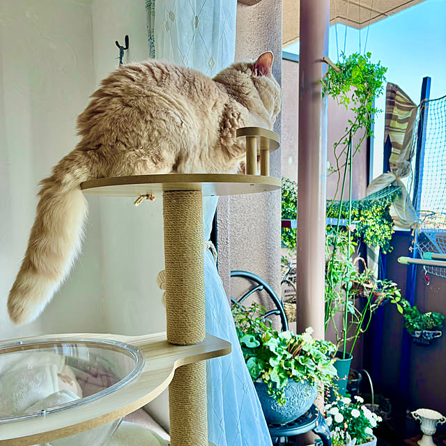 naokoさんの部屋