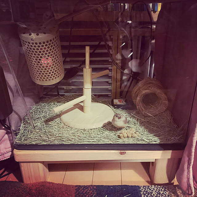 hayuchiさんの実例写真