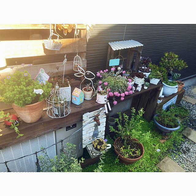 CoCo0617さんの部屋