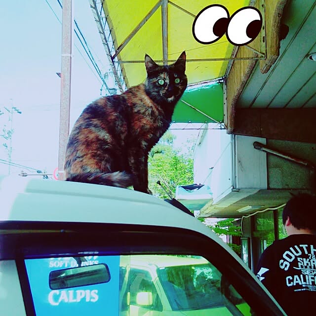 cherrycherryさんの実例写真