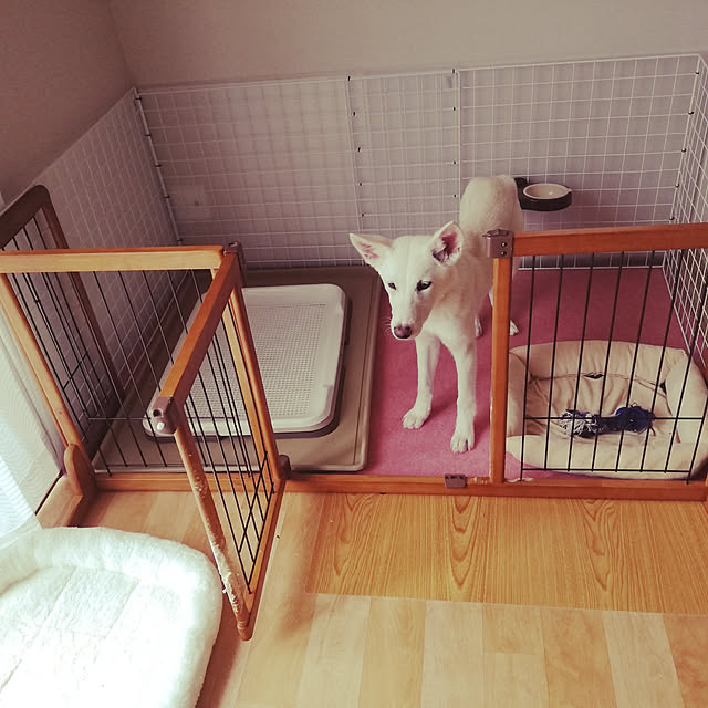 coupeさんの実例写真