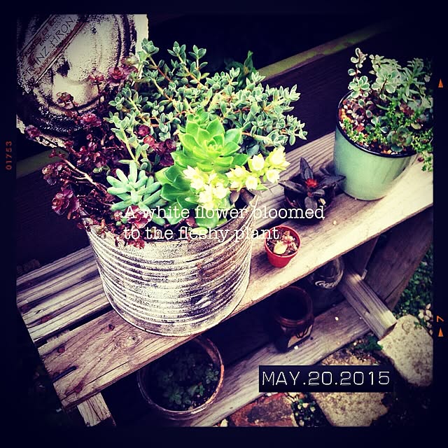 shhさんの実例写真