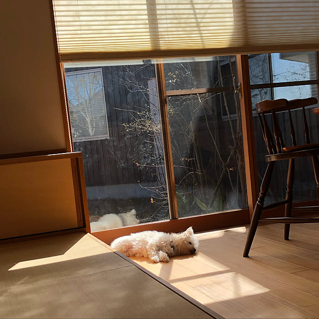 bonさんの実例写真