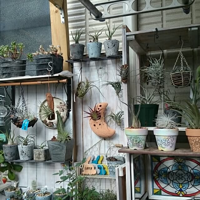 akkoさんの実例写真