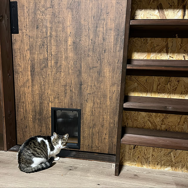 ykk210さんの実例写真