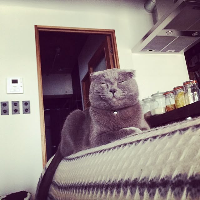 torinokoさんの実例写真