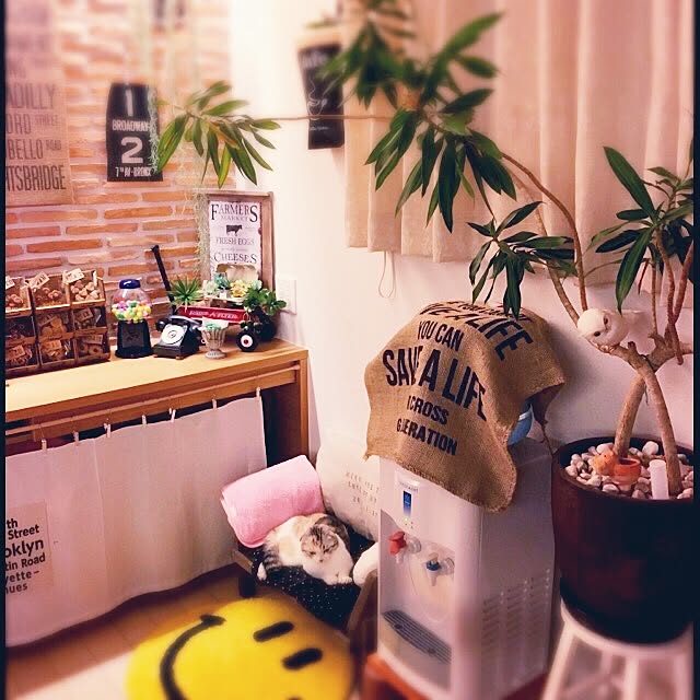 yokkochanさんの実例写真