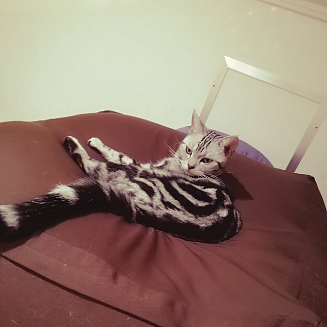 wahahaさんの実例写真
