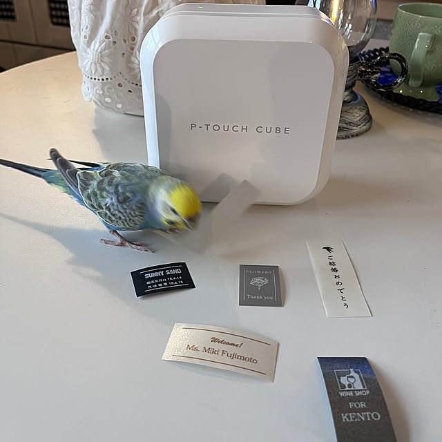 Atsukoさんの部屋