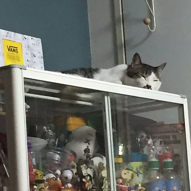 mitonさんの実例写真