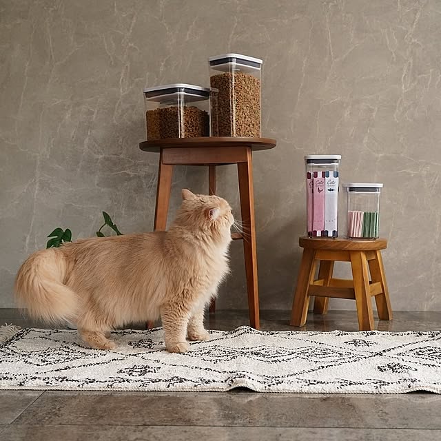 OXOさんの実例写真