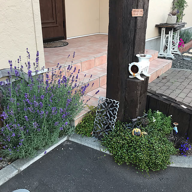 nahhoさんの実例写真