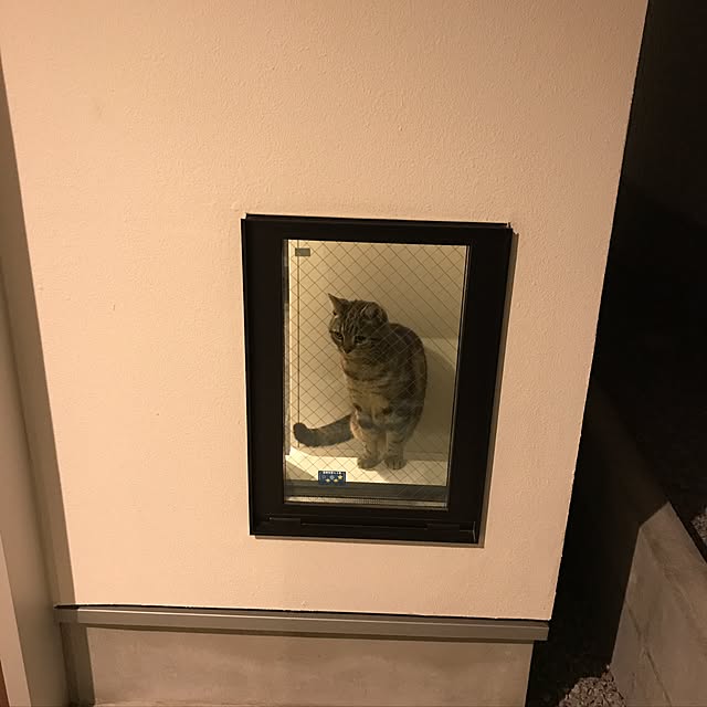 kaedeさんの実例写真
