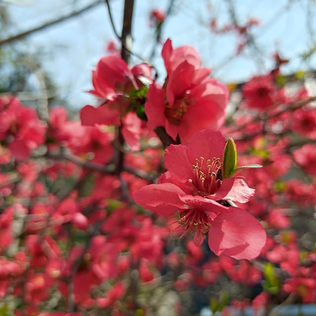 ri-eさんの実例写真