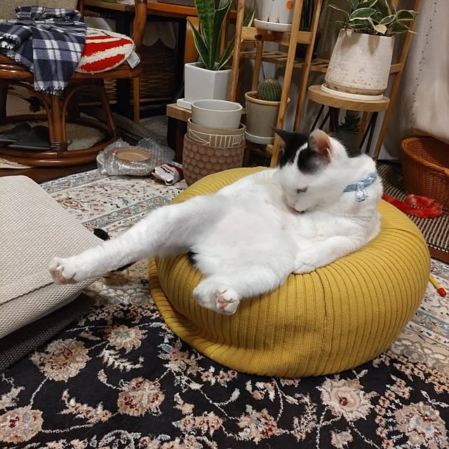 yuuさんの部屋