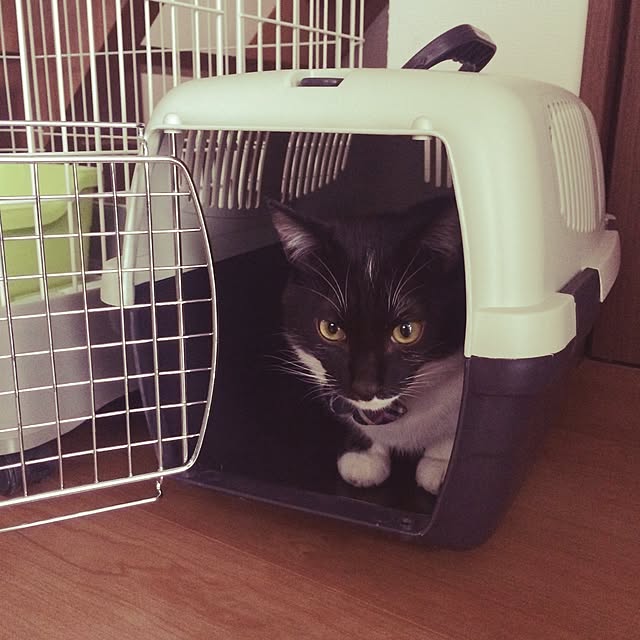 taeさんの実例写真