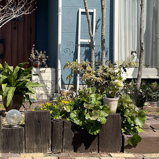 nobikoさんの部屋