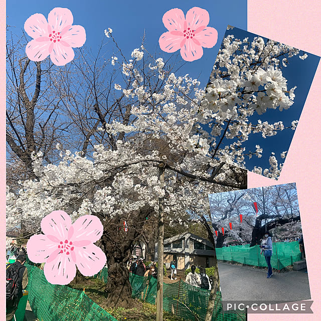 Aqettyさんの部屋