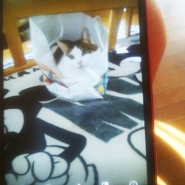 tomopさんの実例写真