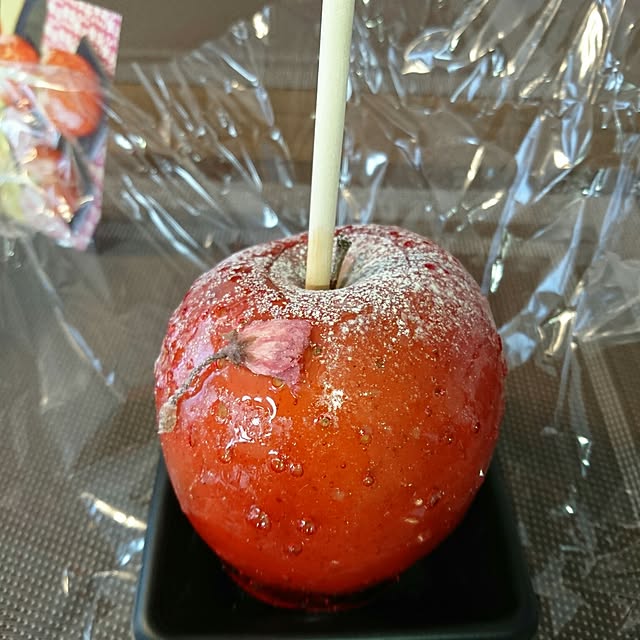 FarblosFlugerさんの実例写真