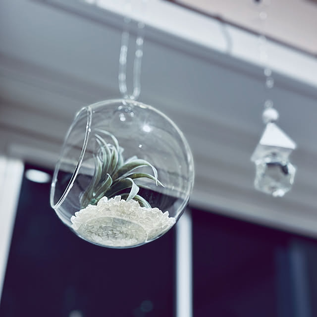 usagiさんの部屋