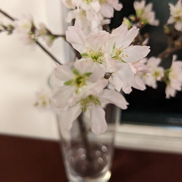 Nanamiさんの実例写真