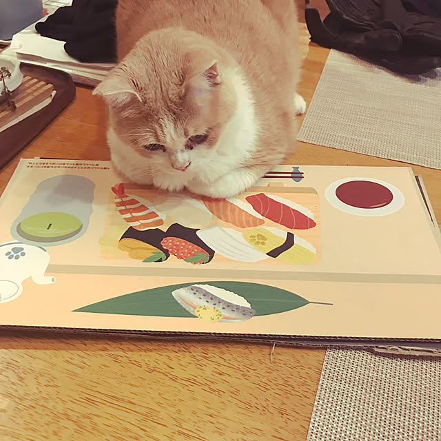kou-kitiさんの実例写真