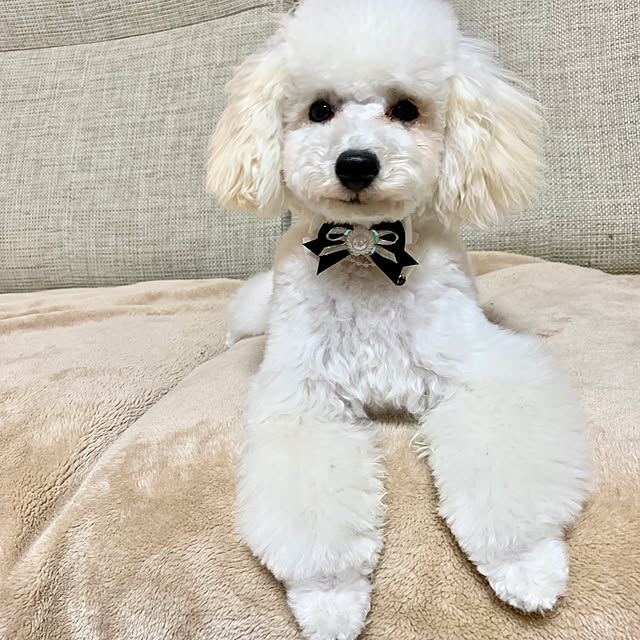 BUNさんの実例写真