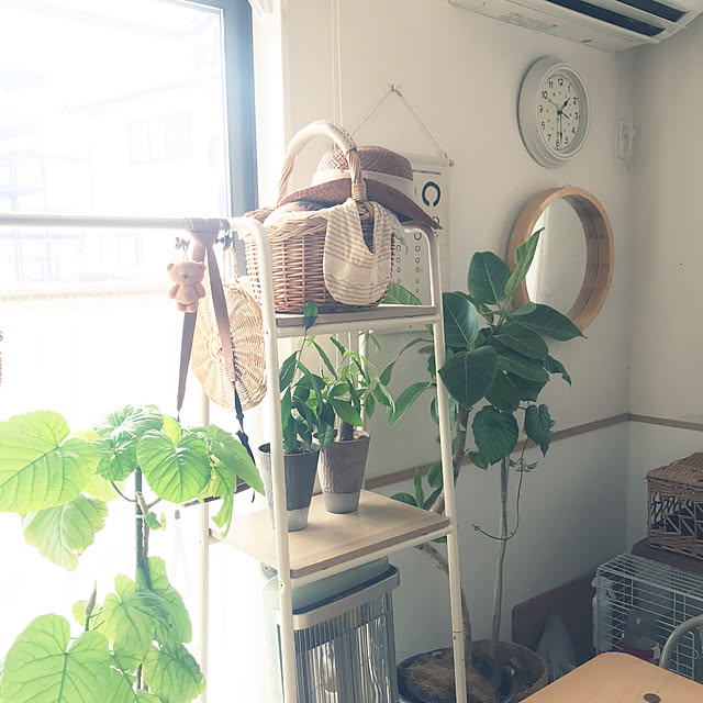 hirariさんの部屋