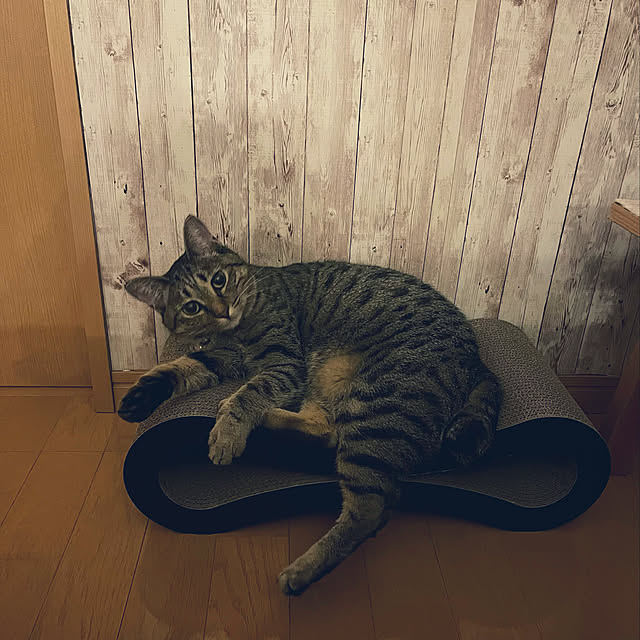 Mさんの実例写真