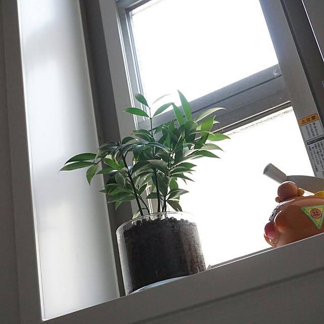 picklesさんの実例写真