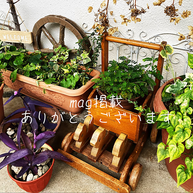 mamiさんの実例写真