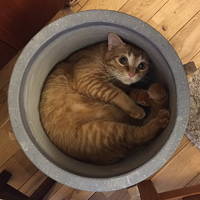 Hisashiさんの実例写真