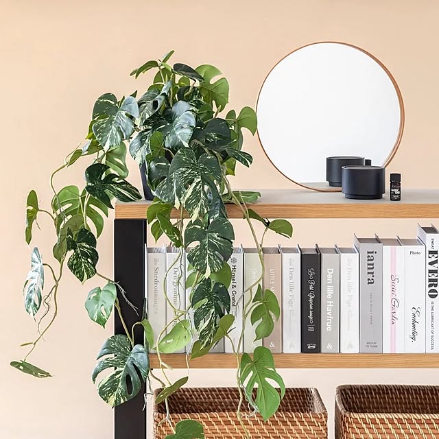 Kanademonoさんの実例写真