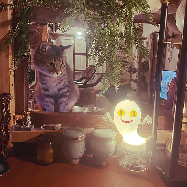 Mさんの実例写真