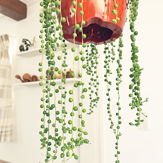 asasouさんの実例写真