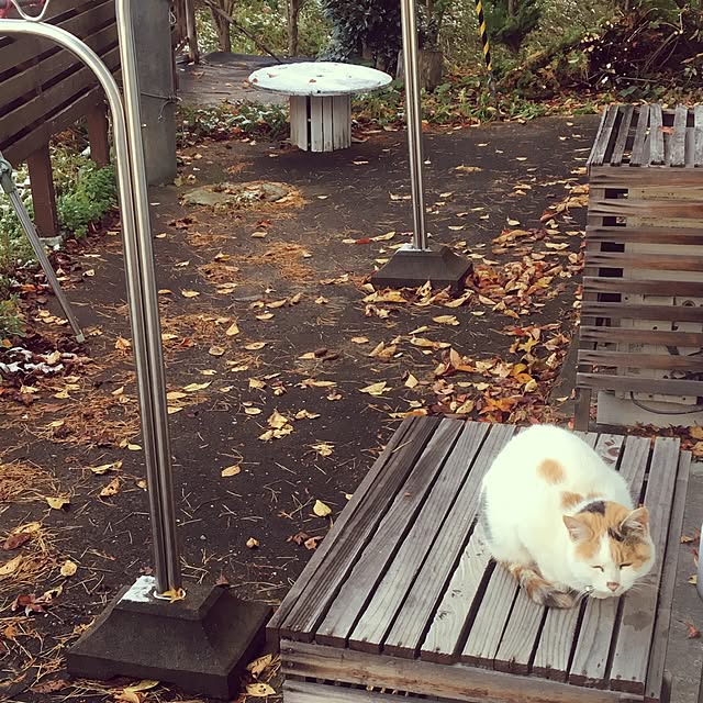 poncocoberryさんの実例写真